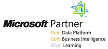 WARDY IT Solutions has a Gold Competency in both the Business Intelligence and Data Platform compentencies