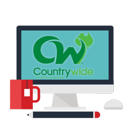 countrywide case study