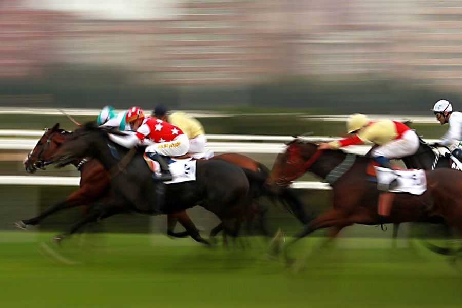 How to predict the winner of the race that stops a nation (and other horse races)